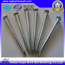 Common Nails for Construction with Good Quality and Cheap Price